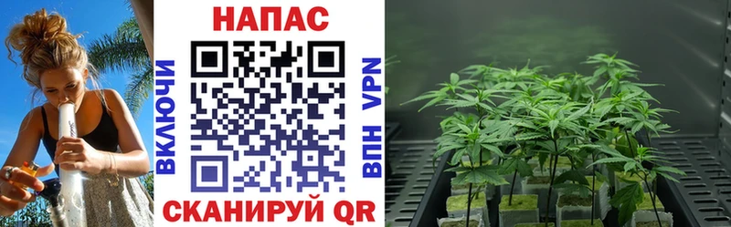 Купить наркотики сайты Шарыпово Конопля  Alpha PVP  ГАШ  Псилоцибиновые грибы  Cocaine  МЕФ 