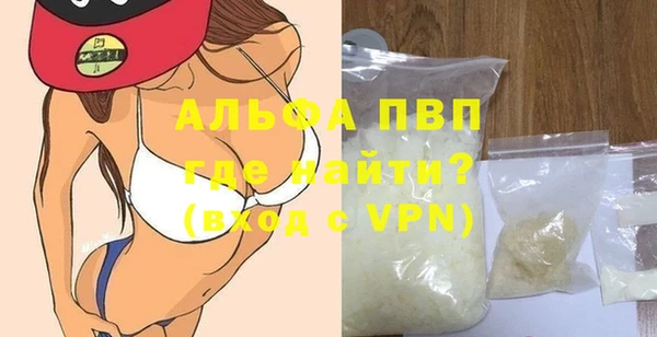 ECSTASY Богданович