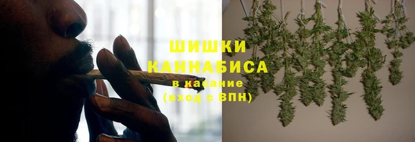 ECSTASY Богданович