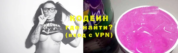 ECSTASY Богданович